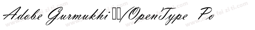 Adobe Gurmukhi 粗体(OpenType  PostScr字体转换